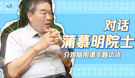 绘制大脑地图：灵长类脑图谱的挑战与探索