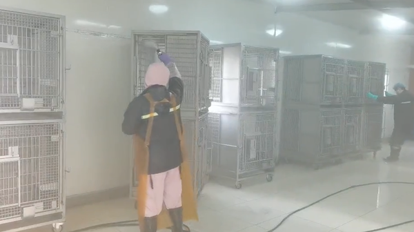 工作人员在清洗猴子的“家”.png