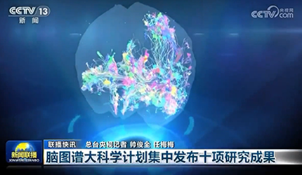 【新闻联播】脑图谱大科学计划集中发布十项研究成果