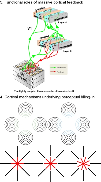 20140730-Fig -2.jpg