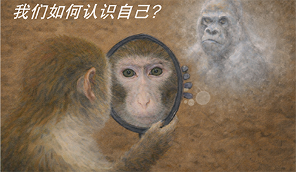 王立平组揭示工作记忆的元认知判断由猕猴前额叶皮层整合多重成分形成