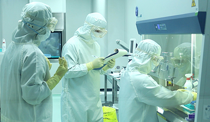 全球首个iPSC来源药物难治性癫痫异体细胞药物获中美IND双批