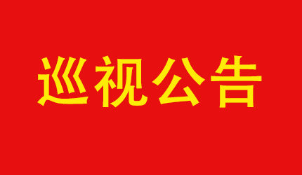 巡视公告